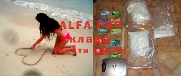 твердый Алзамай