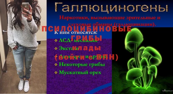 твердый Алзамай
