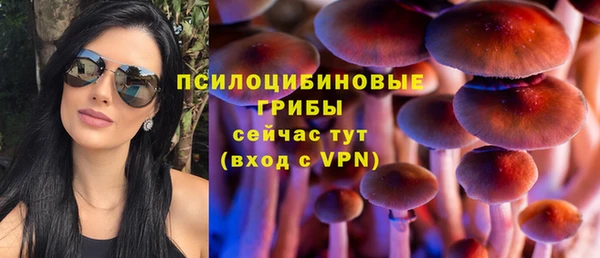 твердый Алзамай