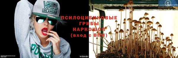 соль ск Алексеевка